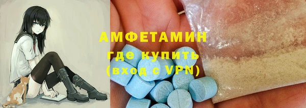 прущие грибы Коряжма