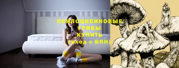 мет Корсаков
