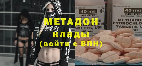 прущие грибы Коряжма