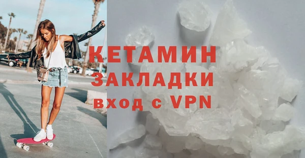 прущие грибы Коряжма