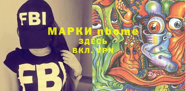 прущие грибы Коряжма