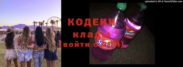 прущие грибы Коряжма