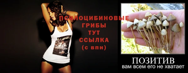 мет Корсаков
