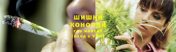 мет Корсаков