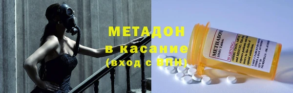прущие грибы Коряжма