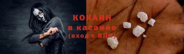 прущие грибы Коряжма