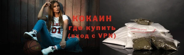 прущие грибы Коряжма