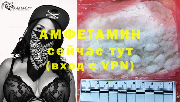 прущие грибы Коряжма