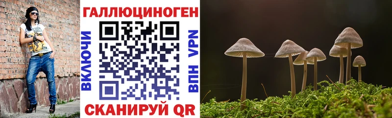 Псилоцибиновые грибы мицелий Бабушкин