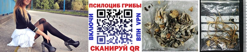 Купить где  Бабушкин  Псилоцибиновые грибы GOLDEN TEACHER 